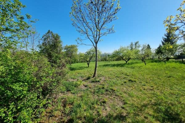 Prodej pozemku 998 m², Hoštka Prodej pozemku 998 m², Hoštka