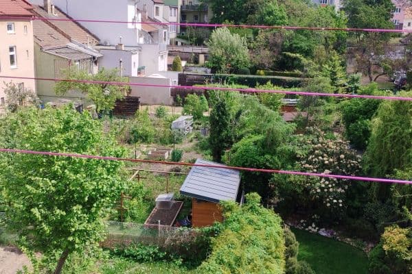 Pronájem bytu 3+kk 60 m², Pechova, Brno Pronájem bytu 3+kk 60 m², Pechova, Brno