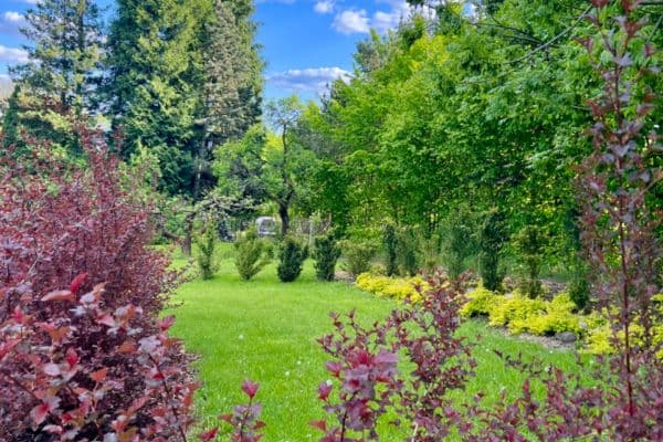 Prodej pozemku 806 m², Česká Lípa Prodej pozemku 806 m², Česká Lípa