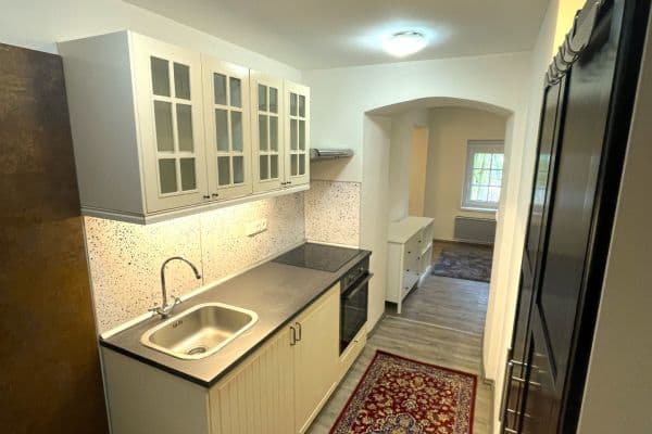 Pronájem bytu 1+kk 18 m², Na Cikánce, Praha Pronájem bytu 1+kk 18 m², Na Cikánce, Praha