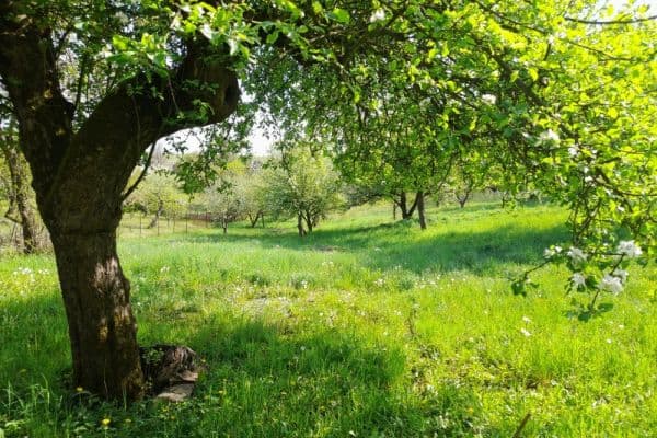Prodej pozemku 2.321 m², Starkoč u Vysokova Prodej pozemku 2.321 m², Starkoč u Vysokova