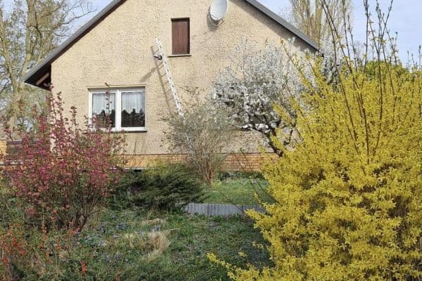 Prodej domu 115 m², pozemek 2.082 m², Lindenallee 43, Mühlenbecker Land, Braniborsko Prodej domu 115 m², pozemek 2.082 m², Lindenallee 43, Mühlenbecker Land, Braniborsko