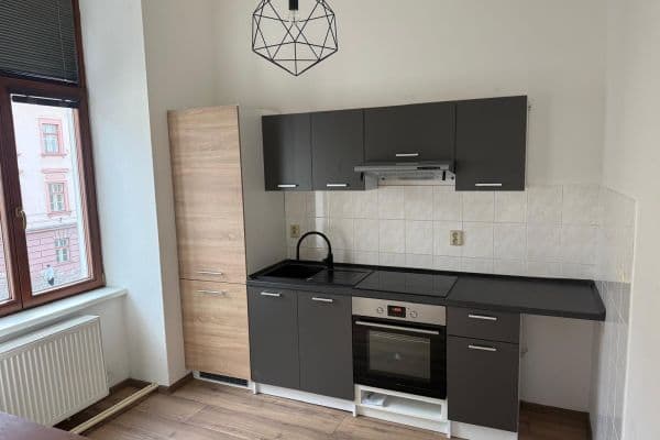 Pronájem bytu 1+1 47 m², Žižkova tř., České Budějovice, Jihočeský kraj Pronájem bytu 1+1 47 m², Žižkova tř., České Budějovice, Jihočeský kraj