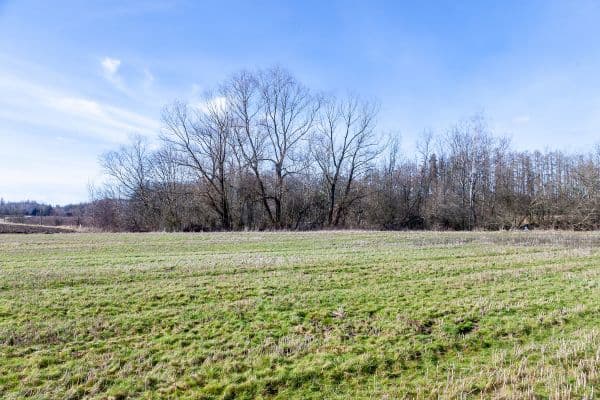 Prodej pozemku 5.987 m², Lesní, Úhonice Prodej pozemku 5.987 m², Lesní, Úhonice