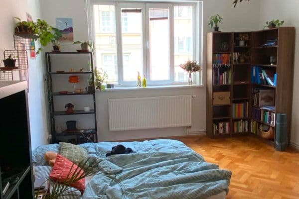 Pronájem bytu 2+1 25 m², Úvoz, Brno Pronájem bytu 2+1 25 m², Úvoz, Brno