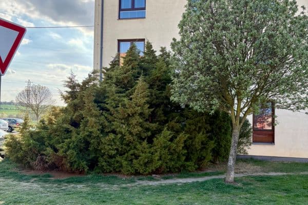 Pronájem bytu 3+kk 58 m², Okružní, Roudnice nad Labem Pronájem bytu 3+kk 58 m², Okružní, Roudnice nad Labem