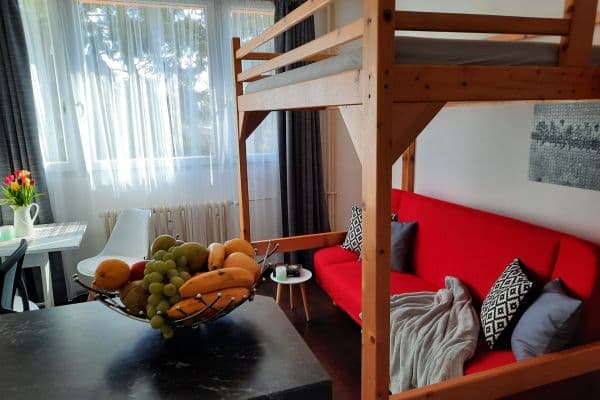 Pronájem bytu 1+kk 24 m², Halasovo náměstí, Brno Pronájem bytu 1+kk 24 m², Halasovo náměstí, Brno