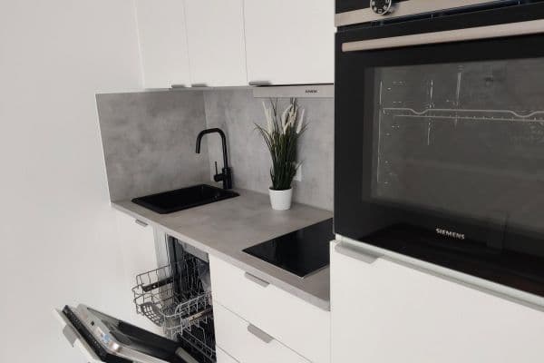 Pronájem bytu 1+1 27 m², Schnieglinger Str 276, Nürnberg, Bavorsko Pronájem bytu 1+1 27 m², Schnieglinger Str 276, Nürnberg, Bavorsko