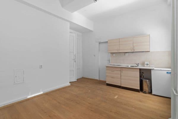 Pronájem bytu 1+kk 18 m², Vodičkova, Praha Pronájem bytu 1+kk 18 m², Vodičkova, Praha