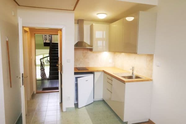 Pronájem bytu 1+kk 28 m², Radlická, Praha Pronájem bytu 1+kk 28 m², Radlická, Praha