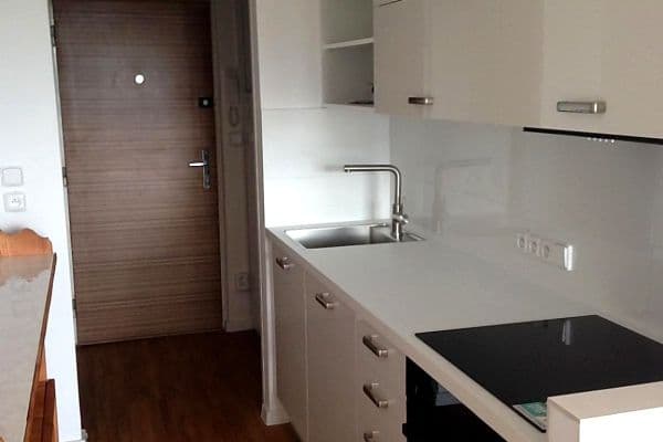 Pronájem bytu 1+kk 29 m², Voříškova, Brno Pronájem bytu 1+kk 29 m², Voříškova, Brno