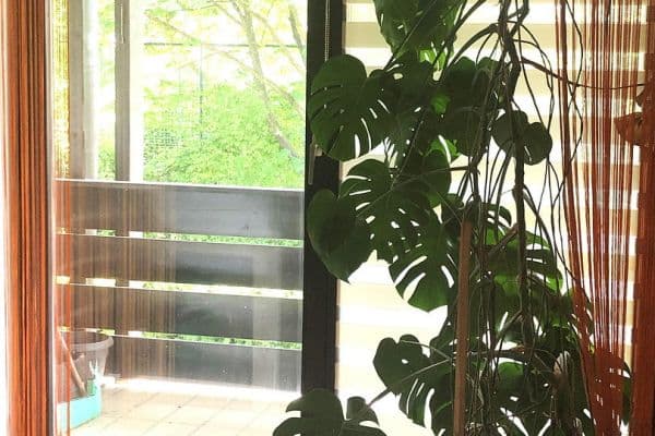 Prodej bytu 2+1 62 m², Ingolstadt, Bavorsko Prodej bytu 2+1 62 m², Ingolstadt, Bavorsko