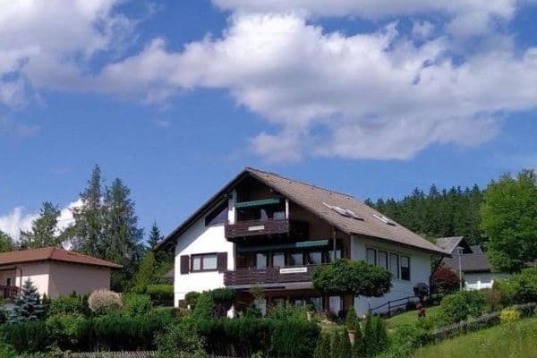 Prodej domu 330 m², pozemek 840 m², Lärchenweg 5, Schluchsee Prodej domu 330 m², pozemek 840 m², Lärchenweg 5, Schluchsee
