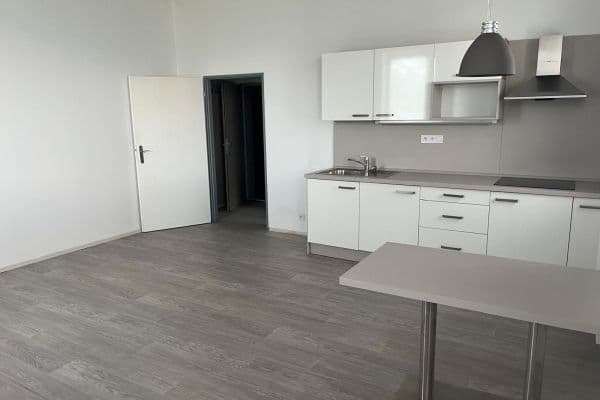 Pronájem bytu 1+kk 45 m², U Uhříněveské obory, Praha Pronájem bytu 1+kk 45 m², U Uhříněveské obory, Praha
