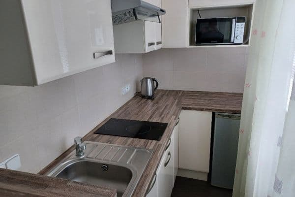 Pronájem bytu 1+kk 27 m², Bílinská, Praha Pronájem bytu 1+kk 27 m², Bílinská, Praha