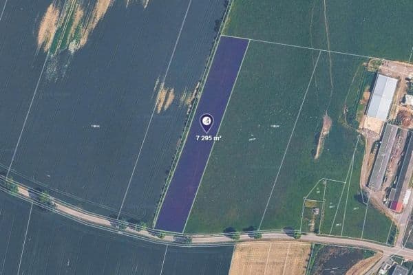 Prodej pozemku 7.295 m², Borkovice Prodej pozemku 7.295 m², Borkovice