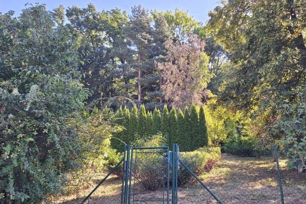 Prodej pozemku 1.127 m², Běstvina Prodej pozemku 1.127 m², Běstvina