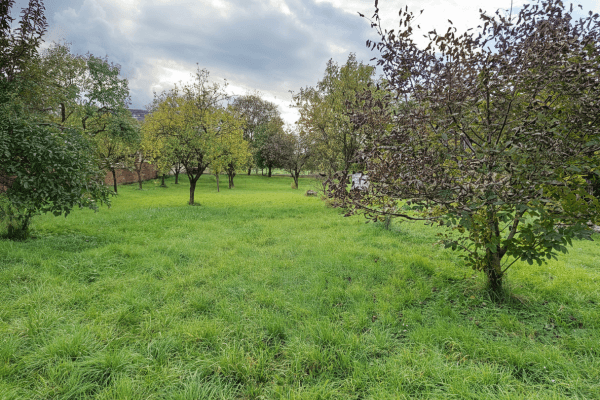 Prodej pozemku 2.042 m², Chvalkovice na Hané Prodej pozemku 2.042 m², Chvalkovice na Hané
