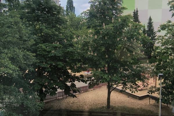 Prodej bytu 2+kk 45 m², Zvoncovitá, Praha Prodej bytu 2+kk 45 m², Zvoncovitá, Praha