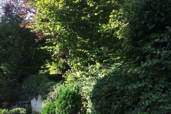 Pronájem bytu 1+1 16 m², Stuttgart-Kaltental, Bádensko-Württembersko Pronájem bytu 1+1 16 m², Stuttgart-Kaltental, Bádensko-Württembersko