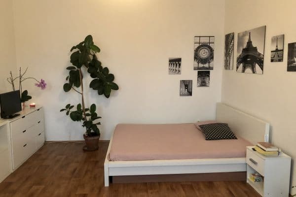 Pronájem bytu 1+kk 50 m², Na hrázi, Olomouc Pronájem bytu 1+kk 50 m², Na hrázi, Olomouc