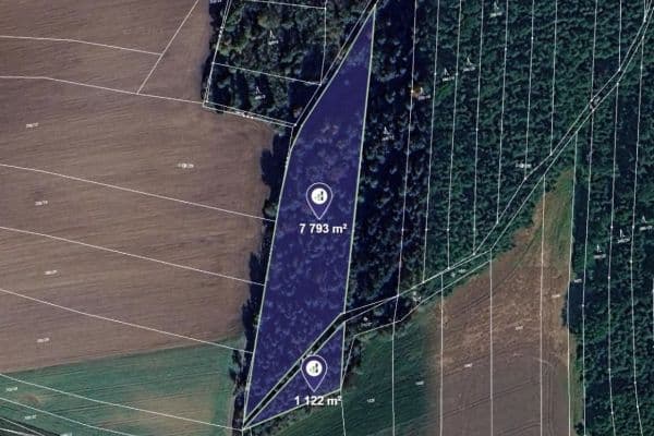 Prodej pozemku 8.915 m², Blížejov Prodej pozemku 8.915 m², Blížejov