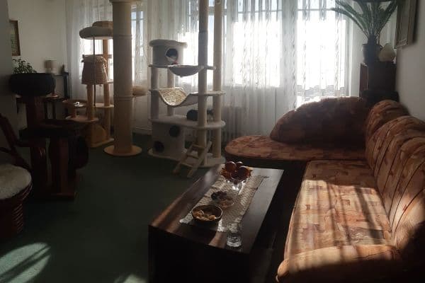 Prodej bytu 3+kk 70 m², Jiránkova, Praha Prodej bytu 3+kk 70 m², Jiránkova, Praha