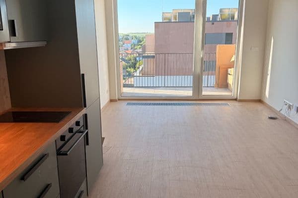 Pronájem bytu 1+kk 32 m², Haenkeho, Praha Pronájem bytu 1+kk 32 m², Haenkeho, Praha
