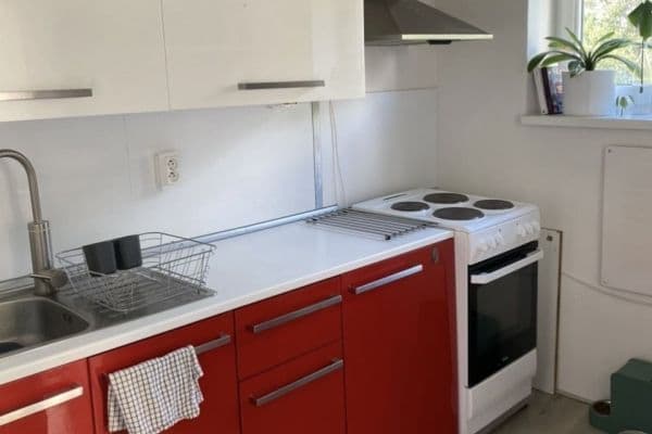 Pronájem bytu 2+1 43 m², Francouzská, Brno Pronájem bytu 2+1 43 m², Francouzská, Brno