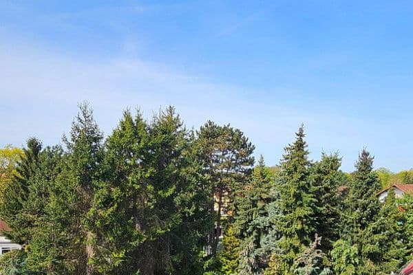 Prodej bytu 2+1 53 m², Leipzig, Sasko Prodej bytu 2+1 53 m², Leipzig, Sasko
