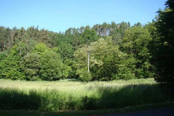 Prodej pozemku 6.471 m², 25935, Vidim Prodej pozemku 6.471 m², 25935, Vidim