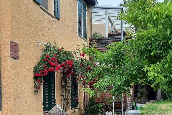Prodej domu 220 m², pozemek 909 m², Schulstraße 2, Schliengen Prodej domu 220 m², pozemek 909 m², Schulstraße 2, Schliengen