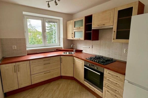 Pronájem bytu 2+1 54 m², Úlehlova, Strážnice Pronájem bytu 2+1 54 m², Úlehlova, Strážnice