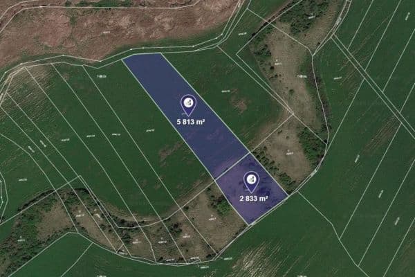 Prodej pozemku 8.646 m², Čejkovice Prodej pozemku 8.646 m², Čejkovice