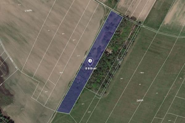 Prodej pozemku 3.376 m², Hlavečník Prodej pozemku 3.376 m², Hlavečník