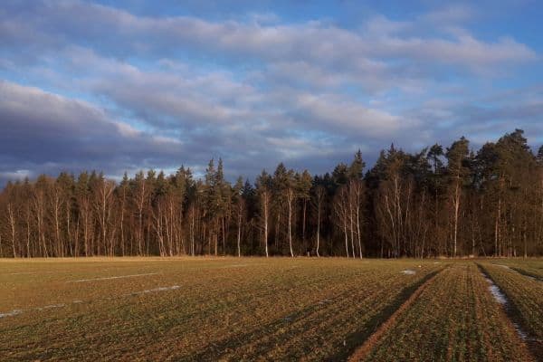 Prodej pozemku 2.678 m², Chotěmice Prodej pozemku 2.678 m², Chotěmice