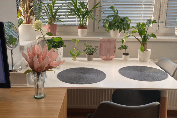 Pronájem bytu 1+kk 27 m², Mikanova, Praha Pronájem bytu 1+kk 27 m², Mikanova, Praha