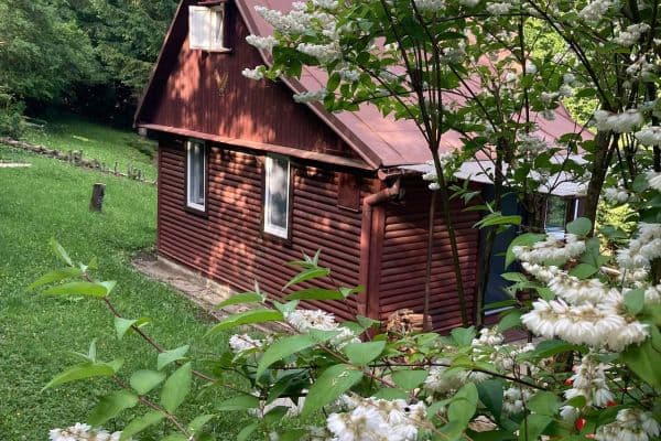 Pronájem chaty, chalupy, Tvarožná Lhota Pronájem chaty, chalupy, Tvarožná Lhota