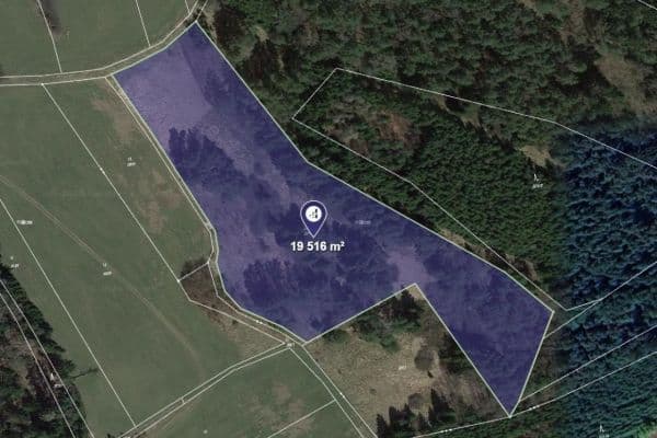 Prodej pozemku 19.516 m², Lodhéřov Prodej pozemku 19.516 m², Lodhéřov