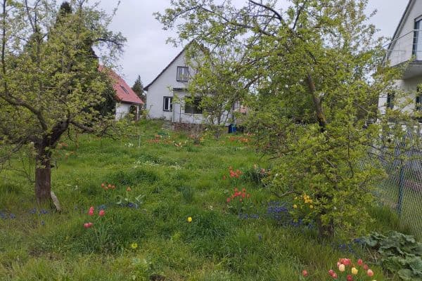 Prodej domu 110 m², pozemek 1.019 m², Wacholderheide 50, Berlin Mahlsdorf Nord, Berlín Prodej domu 110 m², pozemek 1.019 m², Wacholderheide 50, Berlin Mahlsdorf Nord, Berlín