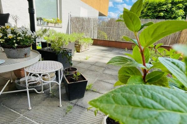 Prodej bytu 1+kk 26 m², Vřesová, Praha Prodej bytu 1+kk 26 m², Vřesová, Praha