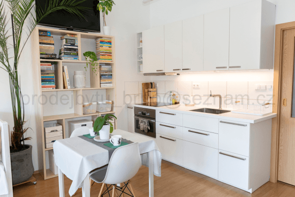 Prodej bytu 1+kk 54 m², Moutnická, Brno Prodej bytu 1+kk 54 m², Moutnická, Brno