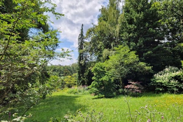 Prodej pozemku 1.890 m², Viehweideweg 18, Hofheim am Taunus - Langenhain Prodej pozemku 1.890 m², Viehweideweg 18, Hofheim am Taunus - Langenhain