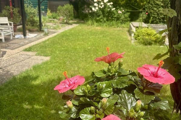 Prodej domu 253 m², pozemek 1.055 m², Wörth am Rhein Prodej domu 253 m², pozemek 1.055 m², Wörth am Rhein