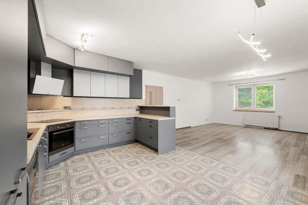 Pronájem domu 241 m², pozemek 977 m², Pronájem domu 241 m², pozemek 977 m²,