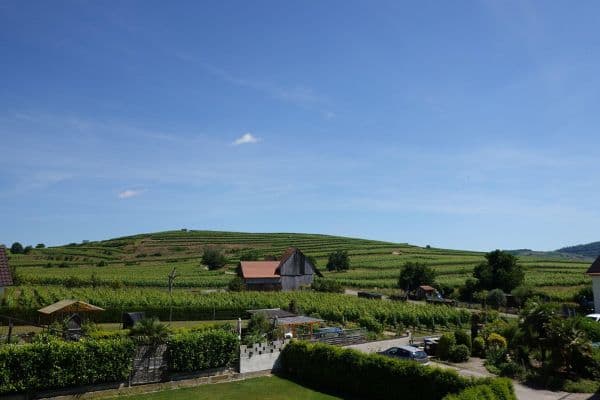 Prodej bytu 4+kk 124 m², Vogtsburg im Kaiserstuhl Prodej bytu 4+kk 124 m², Vogtsburg im Kaiserstuhl