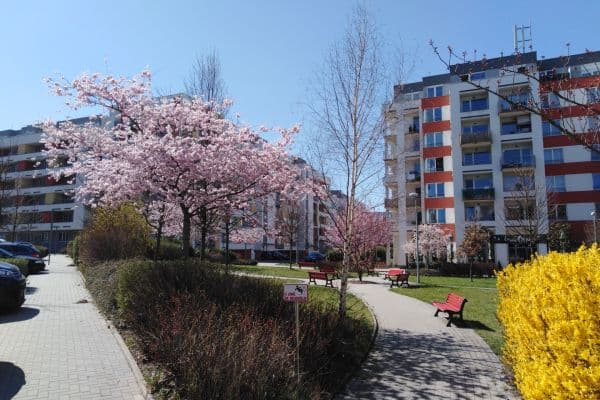 Prodej bytu 1+kk 30 m², Míšovická, Praha Prodej bytu 1+kk 30 m², Míšovická, Praha
