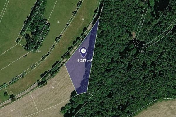 Prodej pozemku 4.257 m², Bousín Prodej pozemku 4.257 m², Bousín
