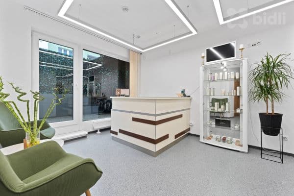 Pronájem nebytového prostoru 24 m², Pod Radnicí, Praha Pronájem nebytového prostoru 24 m², Pod Radnicí, Praha
