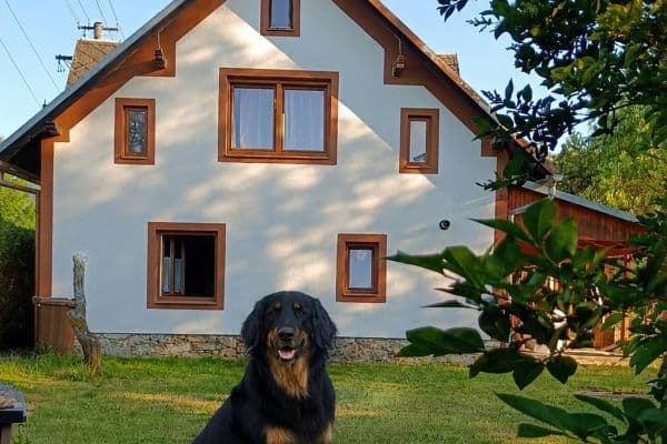 Pronájem chaty, chalupy, Nová Červená Voda Pronájem chaty, chalupy, Nová Červená Voda